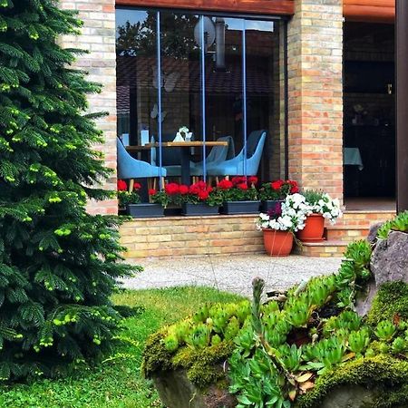Villa Diva Budureasa Exteriör bild