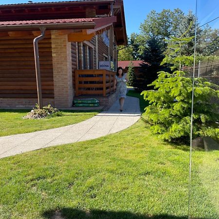 Villa Diva Budureasa Exteriör bild