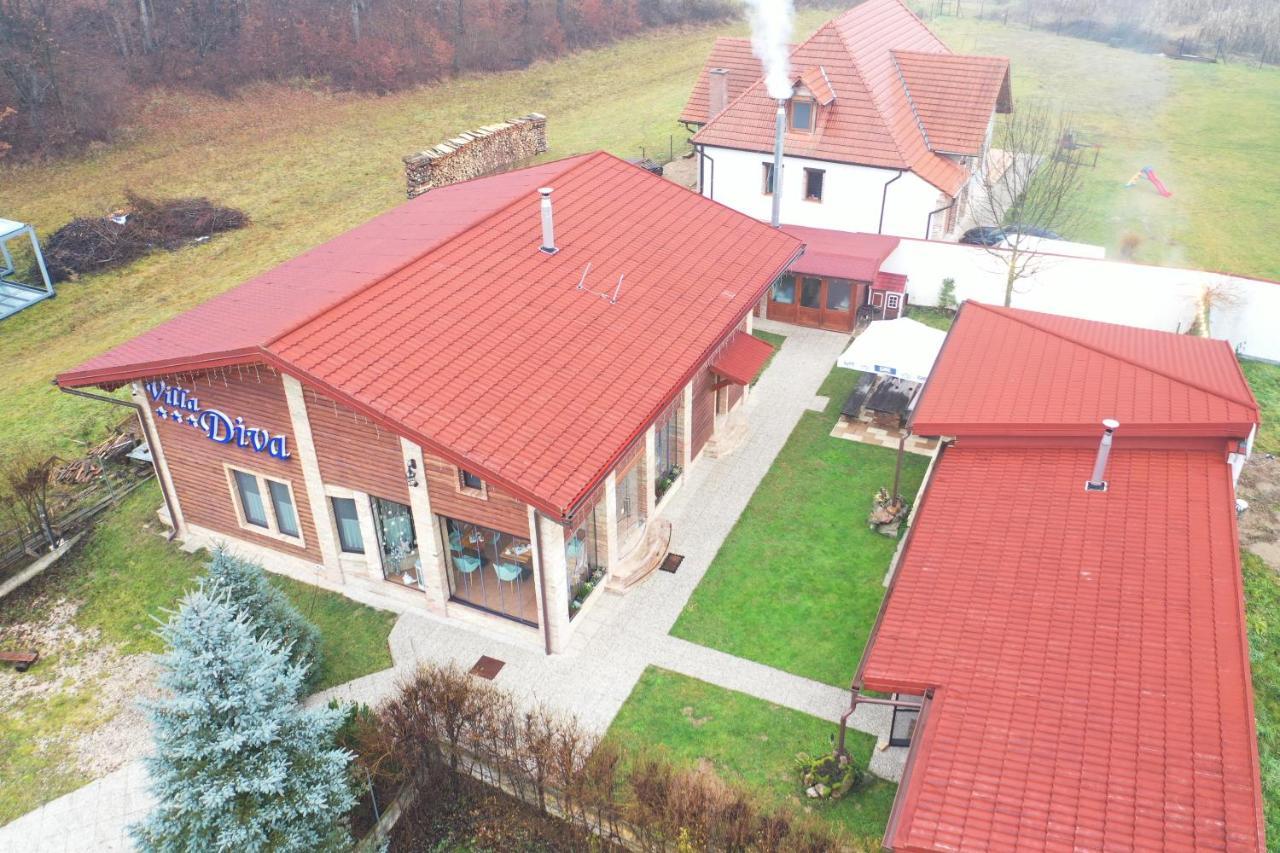 Villa Diva Budureasa Exteriör bild