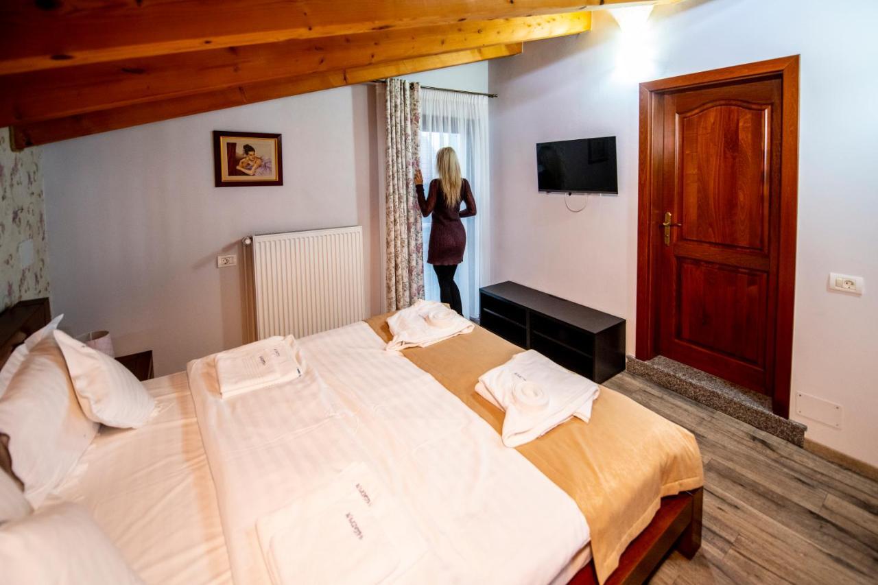 Villa Diva Budureasa Exteriör bild