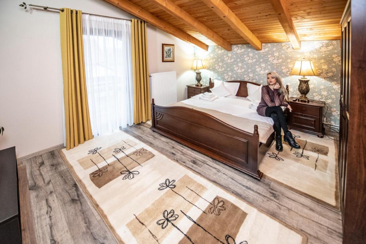 Villa Diva Budureasa Exteriör bild