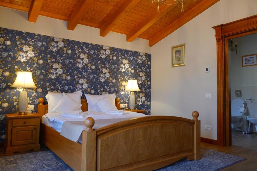 Villa Diva Budureasa Exteriör bild