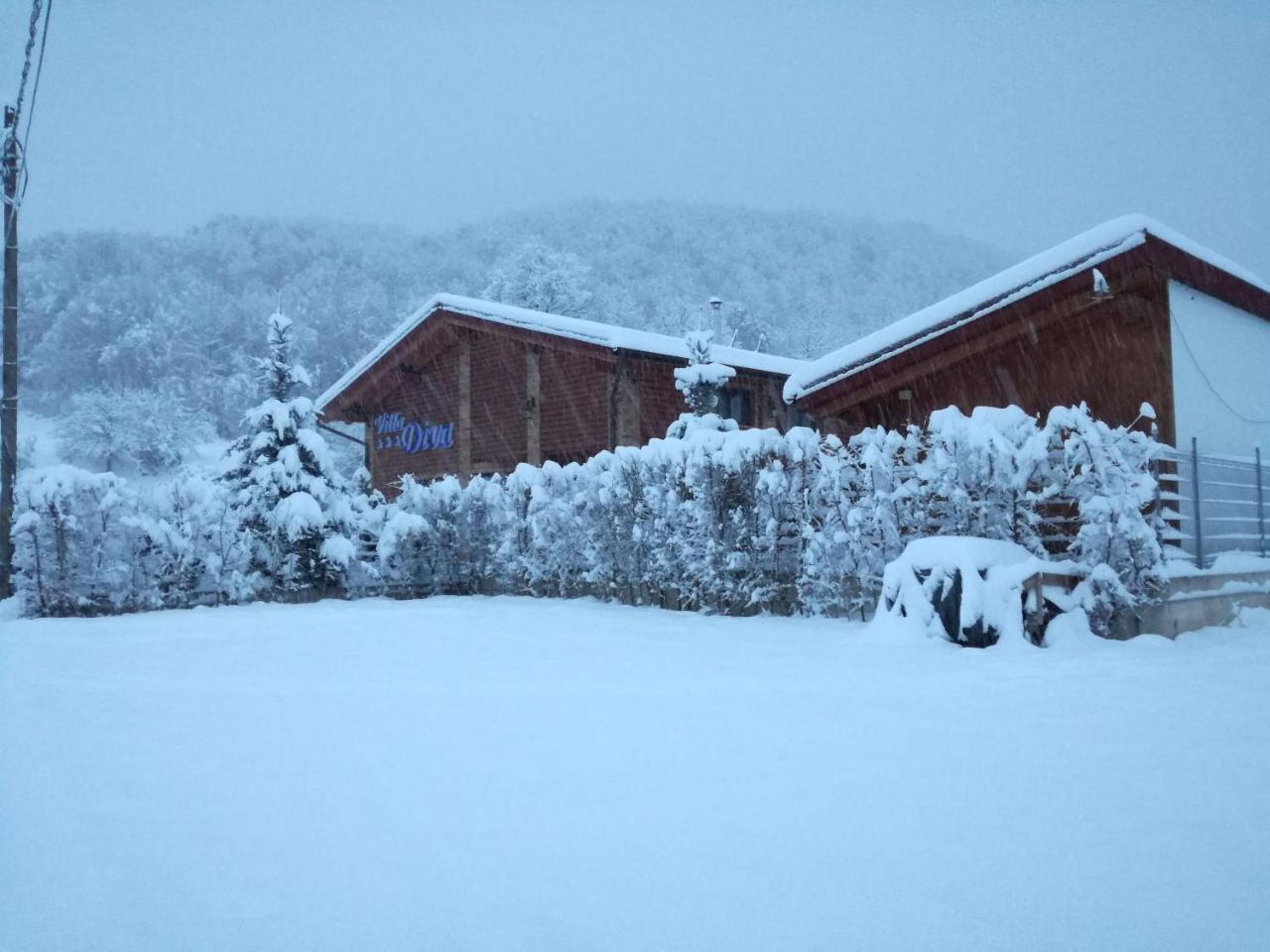 Villa Diva Budureasa Exteriör bild